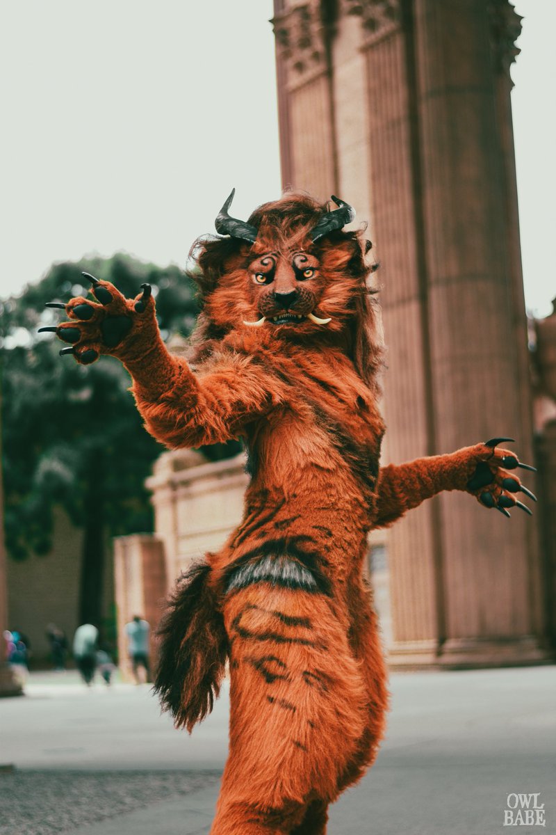 Shangfudog's tweet image. Suit vs Suiter!