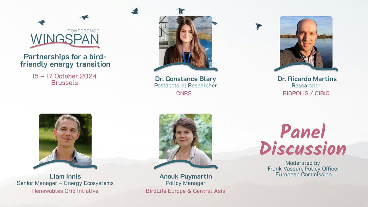 SafeLines4Birds (@safelines4birds) on Twitter photo 🗣️#Wingspan2024 Panel announcement!
Experts will discuss the challenges of translating scientific findings into practices for a #birdsafe energy transition. With:
👀 Dr. <a href="/BlaryConstance/">Constance Blary</a>
🤝 Dr. Ricardo Martins
🌳<a href="/liaminnis/">Liam Innis</a>
📃<a href="/AnoukPuymartin/">Anouk Puymartin</a>
Full program👉t.ly/OeqIq 🗣️#Wingspan2024 Panel announcement!
Experts will discuss the challenges of translating scientific findings into practices for a #birdsafe energy transition. With:
👀 Dr. <a href="/BlaryConstance/">Constance Blary</a>
🤝 Dr. Ricardo Martins
🌳<a href="/liaminnis/">Liam Innis</a>
📃<a href="/AnoukPuymartin/">Anouk Puymartin</a>
Full program👉t.ly/OeqIq
