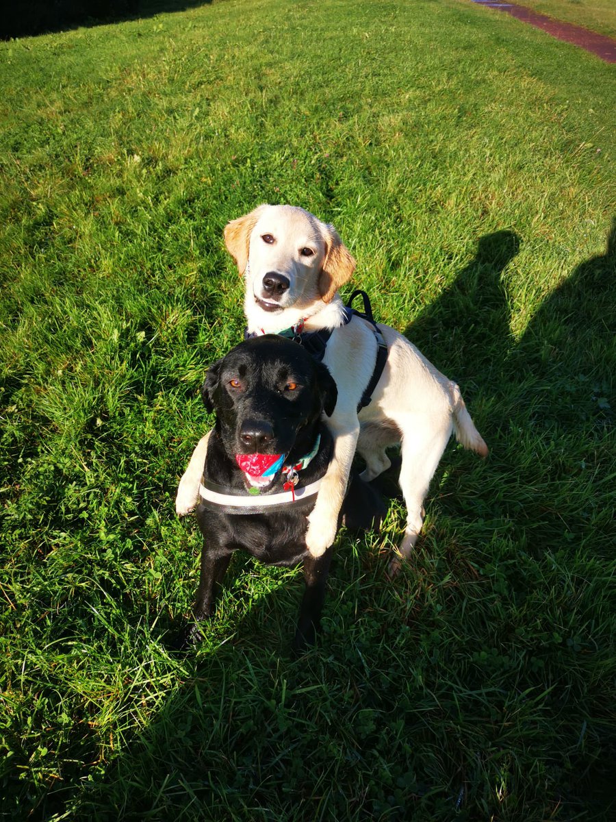 Remi and Dottie tweet media