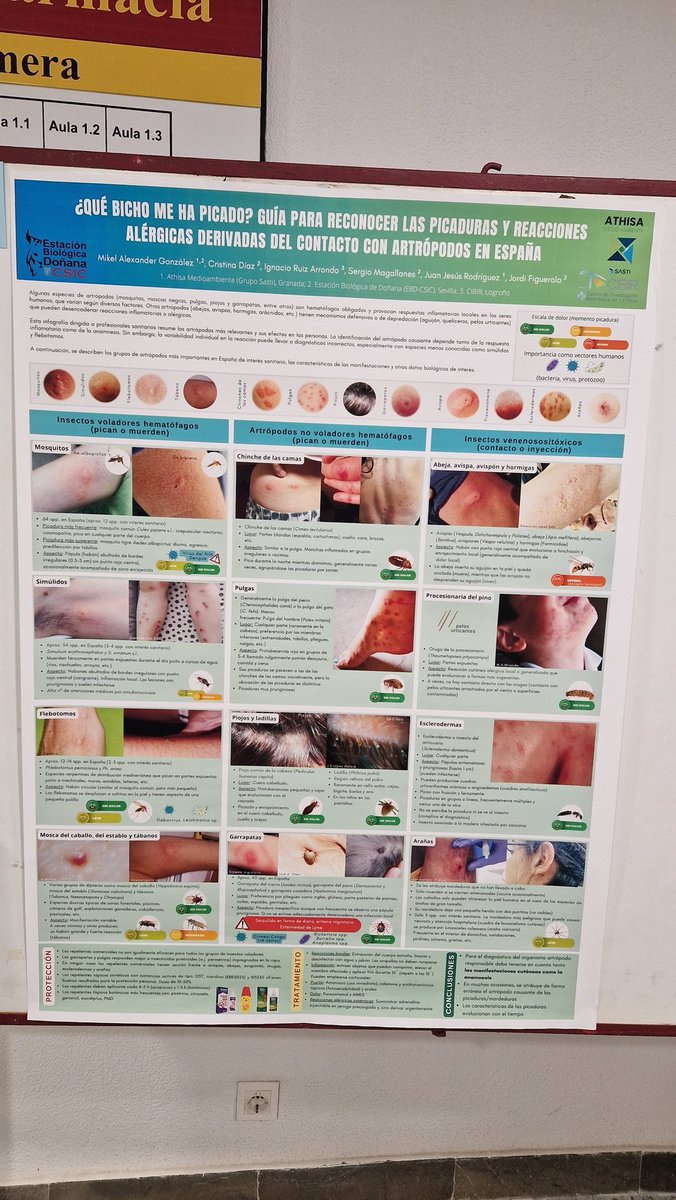 ▶️ Exposition of an interesting poster in the XXIII Congress of SOCEPA-Parasitology in the nice city of Sevilla in southern Spain

¿What's bitten you? Guide to identify the main arthropod bites in Spain

🐜🐛🕷🦂🦟🌹🐜

#bites
<a href="/Socepa2024/">SOCEPA 2024</a> 
<a href="/grupoathisa/">Athisa Medio Ambiente</a> 
<a href="/ebdonana/">Estación Biológica de Doñana - CSIC</a>