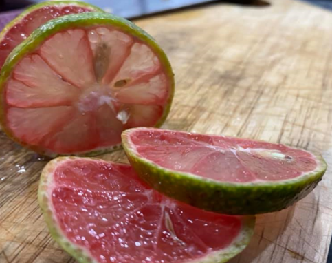 Lợi Đất Tổ Vlogs tweet media