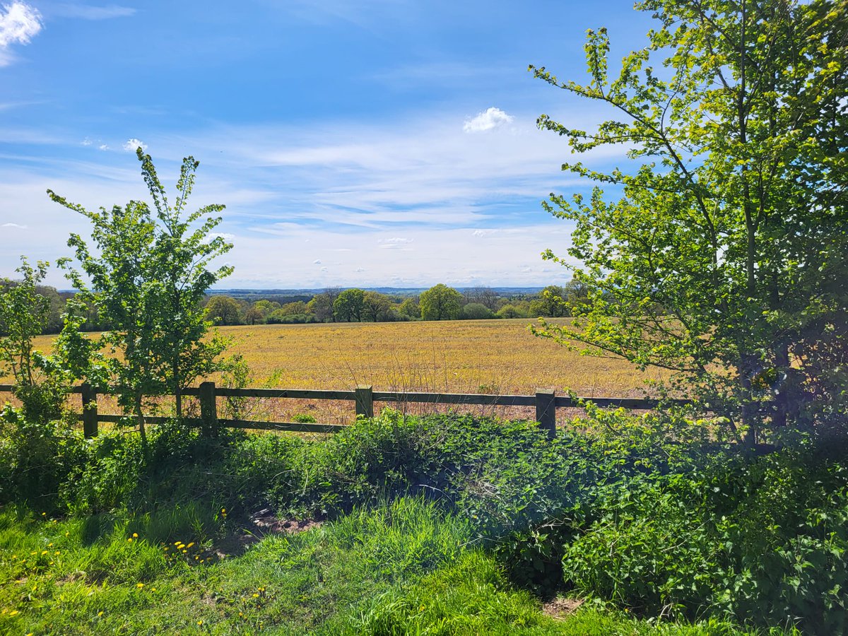 Would you like to play a key role in regreening our region? 

Leicestershire Communities Network is hosting an online session on 12 September all about an exciting new tree-planting project. 
 
Sign up here: orlo.uk/ZLoT4