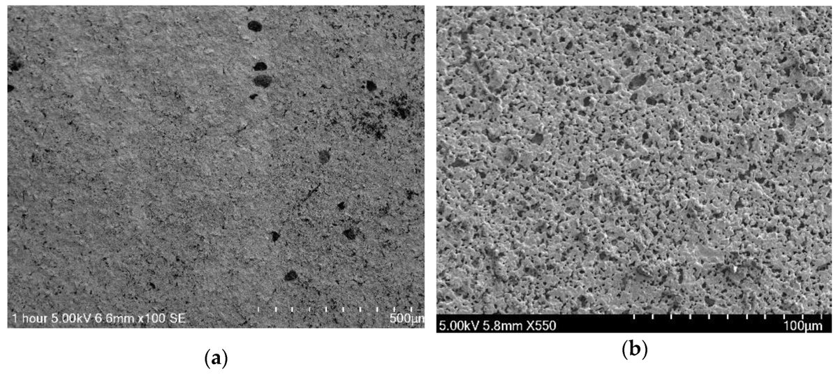 Sensors_MDPI's tweet image. Fabrication and Optimization of Nafion as a Protective Membrane for TiN-Based pH Sensors
mdpi.com/1424-8220/23/4…
#pHsensing #Nafion #titaniumnitride #redoxeffects #medicalapplications