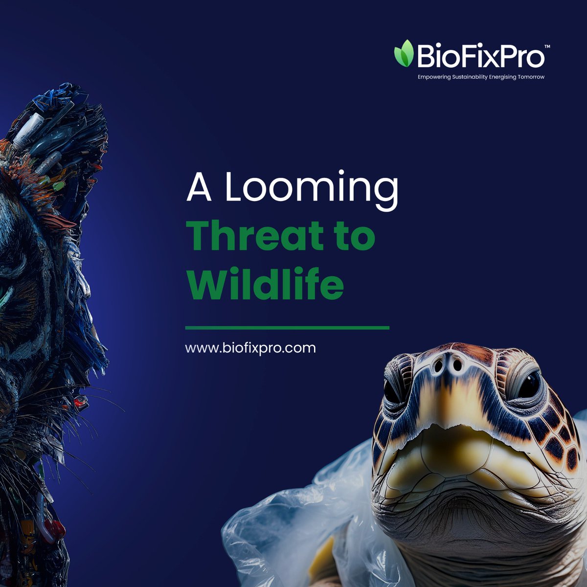 BioFixPro's tweet image. India’s wildlife is in peril, and waste is a major culprit. From plastic in oceans to toxic chemicals in forests, the consequences are dire. Act now—reduce, recycle, and support waste management initiatives like BioFixPro to protect our environment and its creatures.