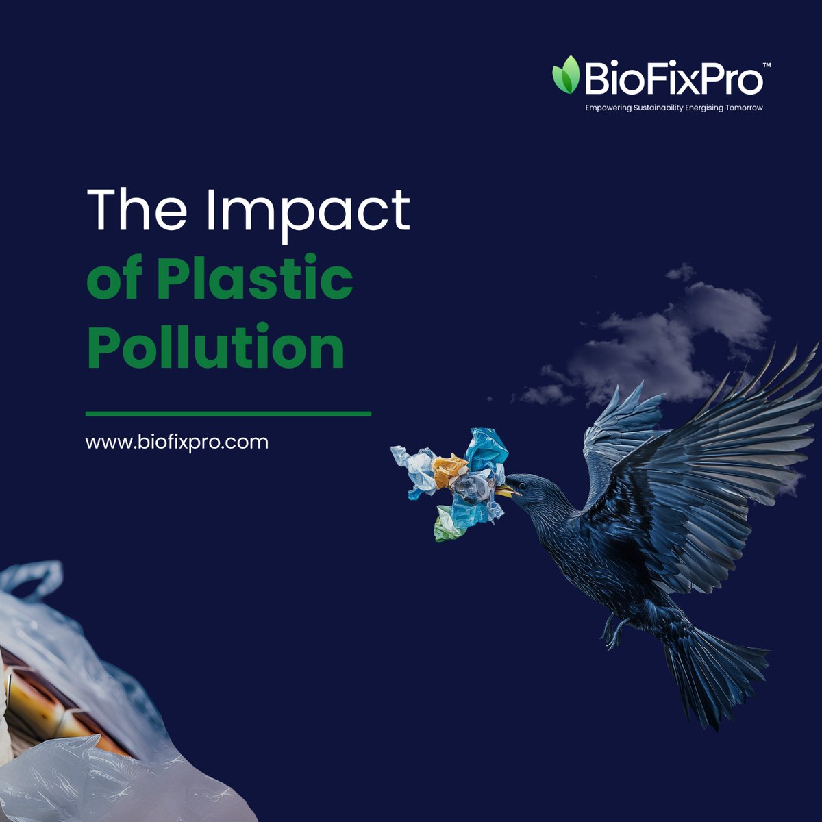BioFixPro's tweet image. India’s wildlife is in peril, and waste is a major culprit. From plastic in oceans to toxic chemicals in forests, the consequences are dire. Act now—reduce, recycle, and support waste management initiatives like BioFixPro to protect our environment and its creatures.