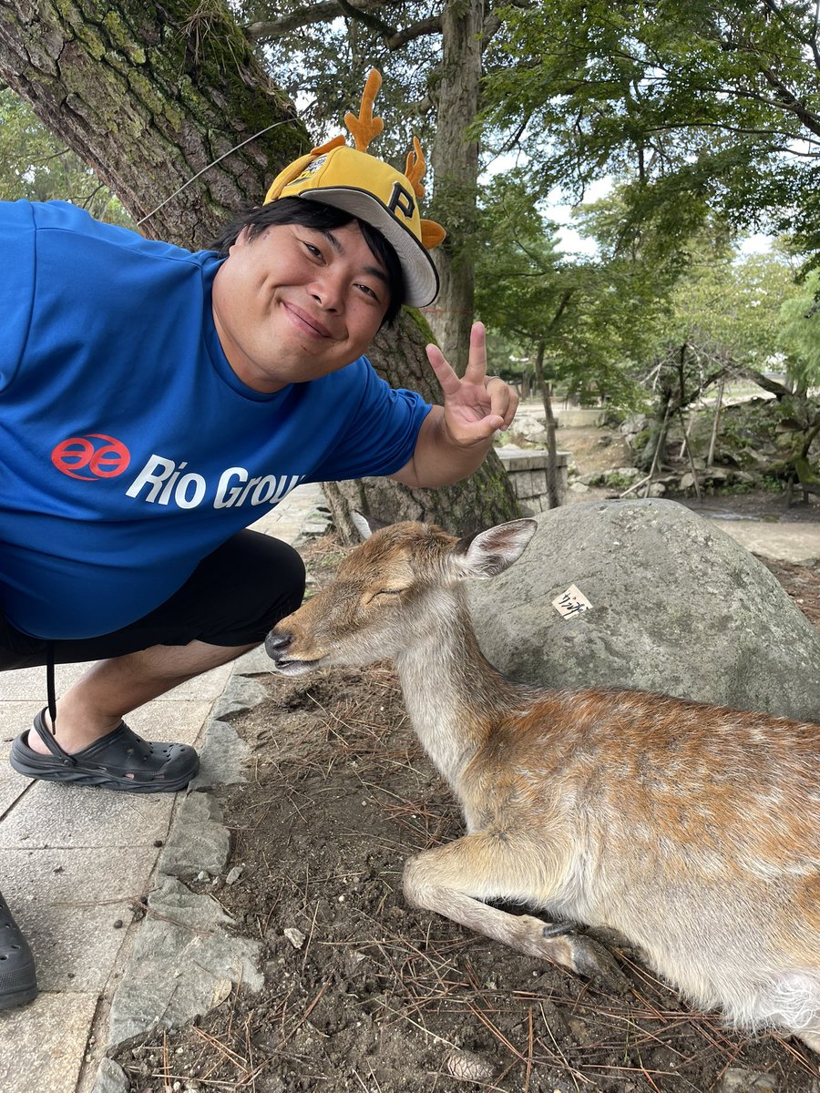 ご報告】 奈良公園パトロール異常無しです。 修学旅行生がお婆ちゃん鹿