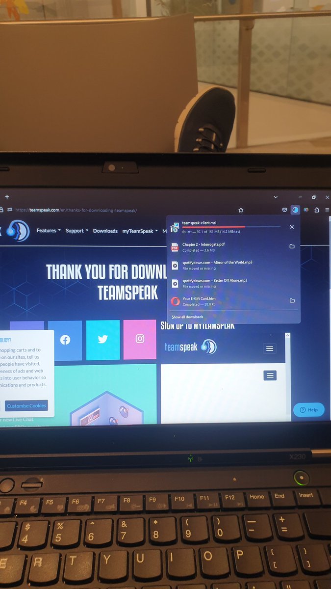 I downloaded &lt;a href=&#34;/teamspeak/&#34;&gt;TeamSpeak&lt;/a&gt; and then I will stop touching grass