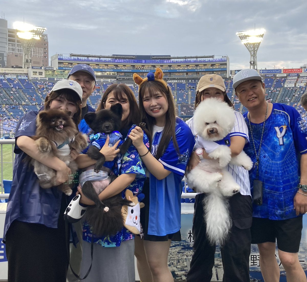 ワンちゃん 横浜DeNAベイスターズ on X