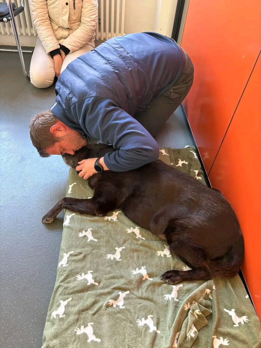 Happy Dog tweet media