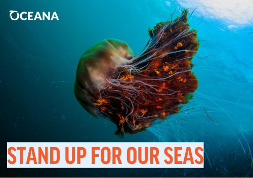 OceanaUK's tweet image. 📢📢 MPs return from summer recess THIS WEEK! 

🌊 It's time to stand up for our ocean &amp;amp; show we care

📬 Send a FREE physical postcard directly to your MP's desk &amp;amp; demand they take strong political action to save our seas - it takes less than 30 secs!👇 
standupforourseas.postbug.app