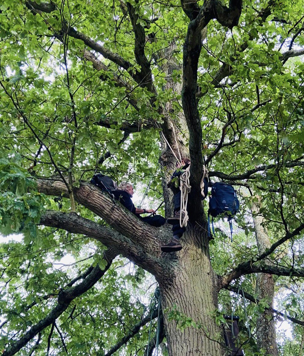 Extinction Rebellion Horsham tweet media