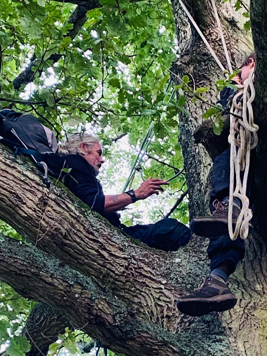 Extinction Rebellion Horsham tweet media