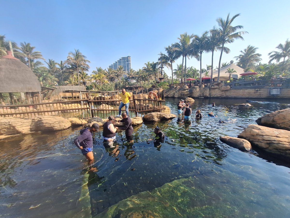 The amazing accessible snorkeling at Ushakamarine World, Durban, Kwazulu Natal. Thank you to the wonderful staff for supporting our guests and magical experience. The accessible snorkeling takes place in a large rock pool with over 5000 fish.
#southafrica
#accessible