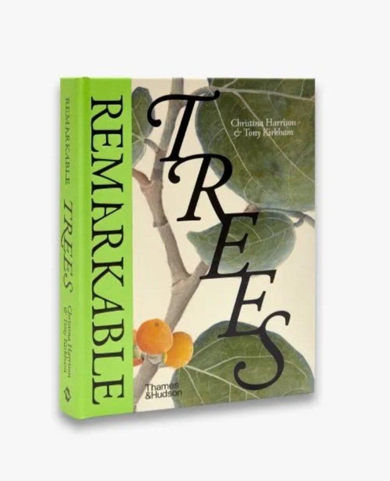 KewEditor's tweet photo. Our new redesigned edition of #RemarkableTrees is published this week. Yay!! It's packed with great stories about how we use, revere & need to conserve #Trees and illustrated by stunning images from @Kew_LAA #kewgardens #thamesandhudson https://t.co/O7QirtG0Ej
