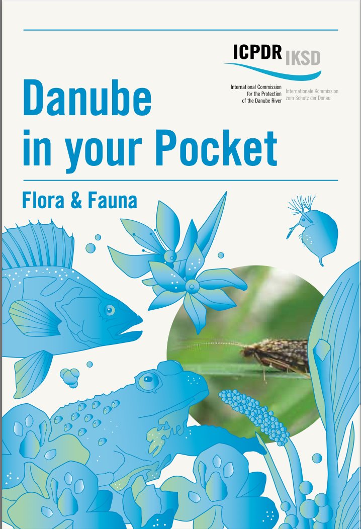 ICPDR_ORG's tweet photo. ☀️ Summer might be over, but there's still so much to discover along the Danube this autumn! 🍂 
📖 Want to know more about the natural wonders along the river? 🌿🐦Check out our "Danube in Your Pocket" guide: https://t.co/mqho9Lhw62 

#ICPDR #Danube https://t.co/6yp4WO3ABl