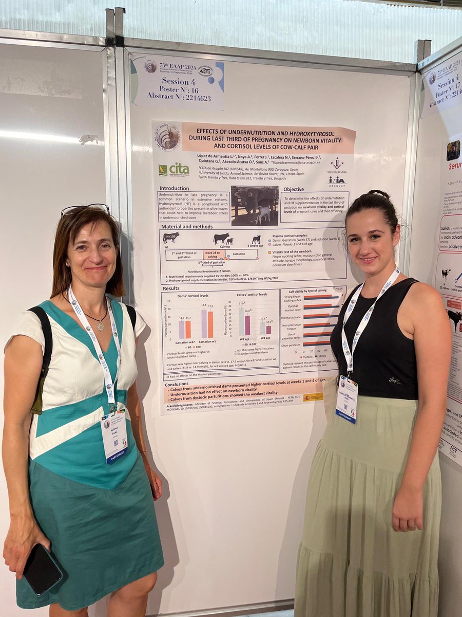CITAAragon's tweet photo. 📸 Los investigadores de Ciencia Animal que se encuentran participando en el 75 Congreso Anual de la @EAAPofficial ya han comenzado a presentar algunas comunicaciones (orales🗣️ y póster📄) de los proyectos #EWESTRESS, #FETALNUT y #RUMIRES https://t.co/edVmcXcxp1