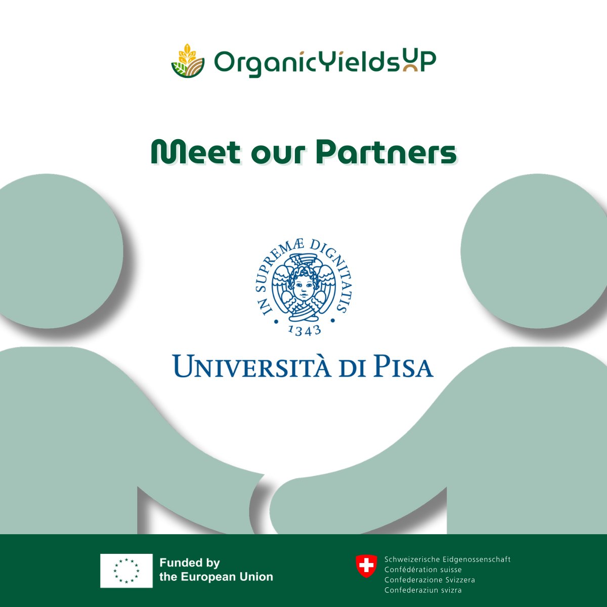 OrganicYieldsUP tweet media