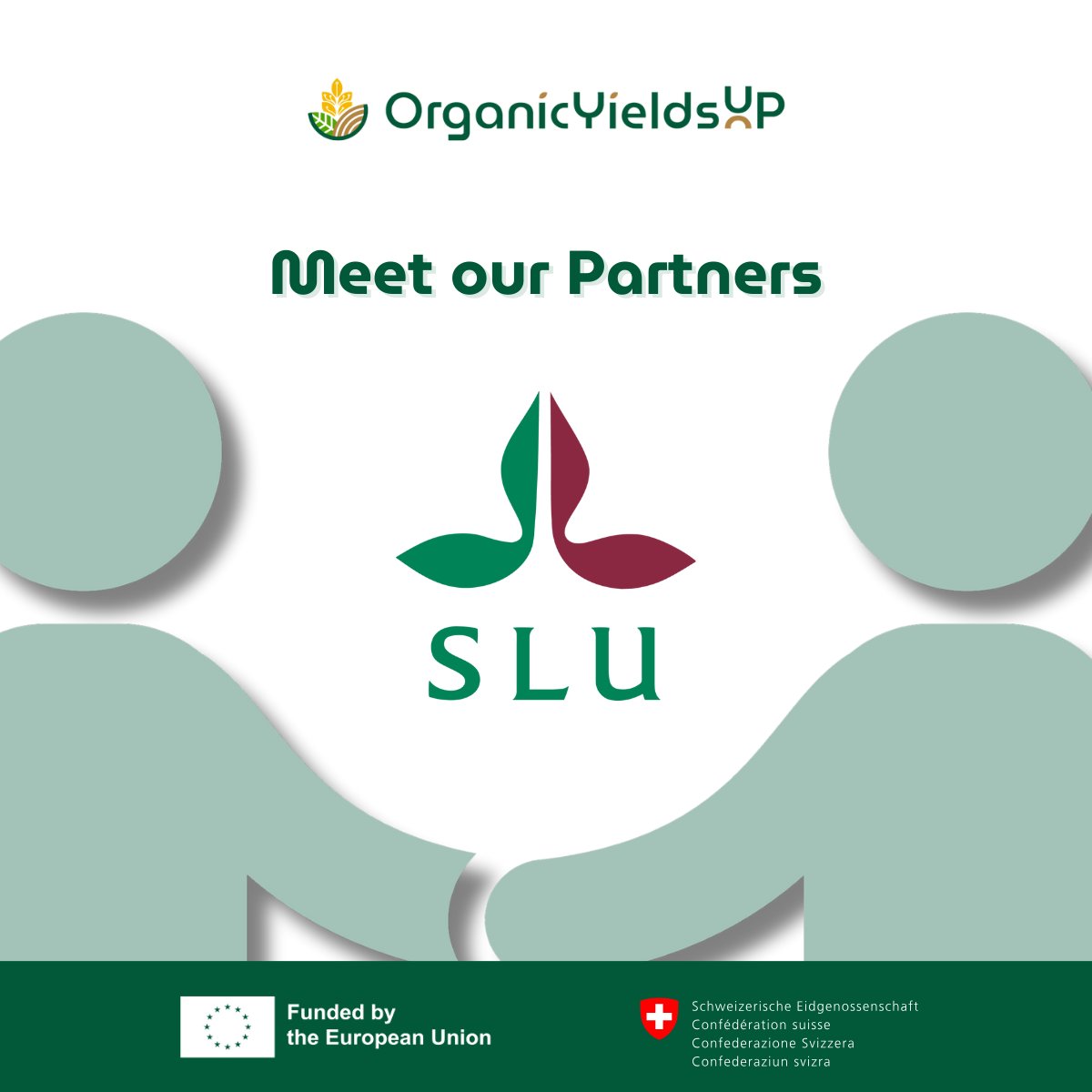 OrganicYieldsUP tweet media