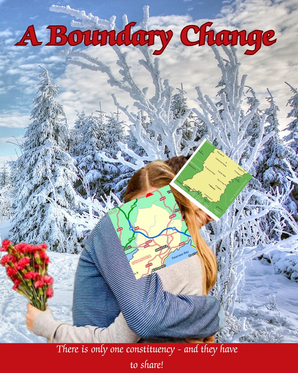 You see the combination of Swansea East and Brecon + Radnor as terrible? 

I see it as a slow burn, enemies to lovers romance about a high flying city girl who meets a country boy from Cwmdu, and learns the true meaning of Christmas