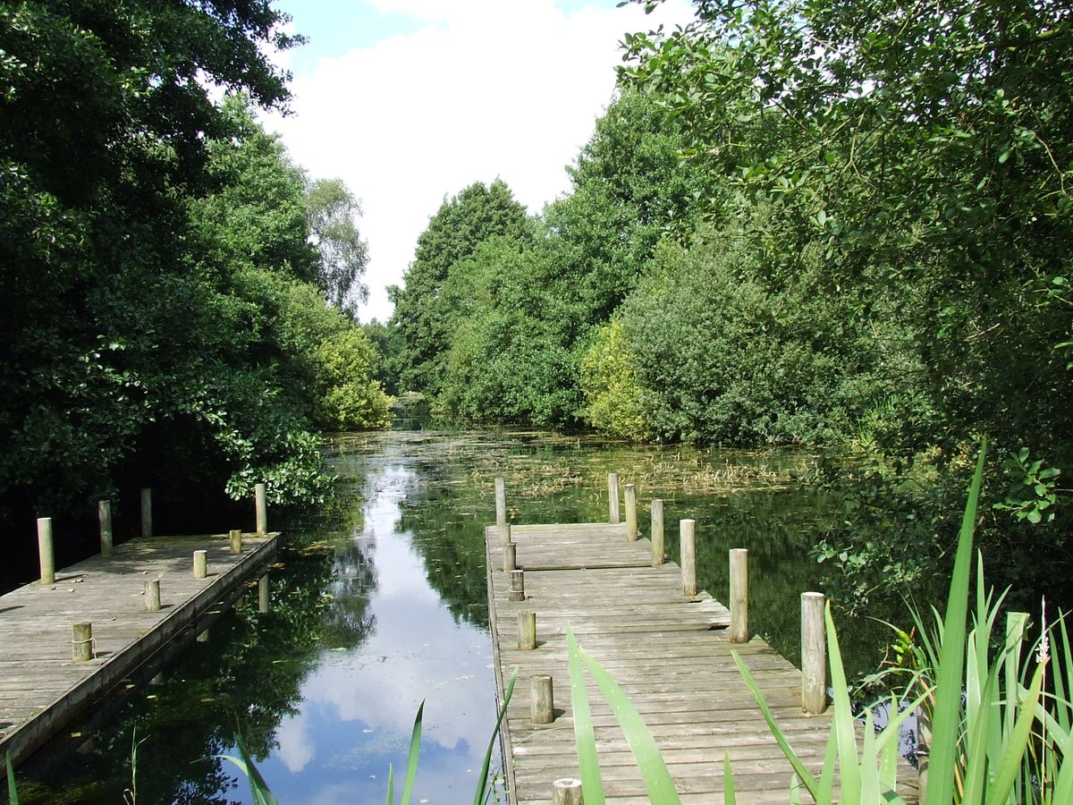 The Ethnic Minority Environmental Network creates connections between ethnic minority groups and individuals, and mainstream organisations addressing climate change and climate justice in Scotland.
theemennetwork.com