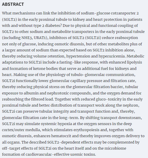 NDTsocial's tweet photo. How can inhibition of glucose and sodium transport in the early proximal tubule protect the cardiorenal system?

👉https://t.co/RT2eDafGbI https://t.co/oORYIbaLTu
