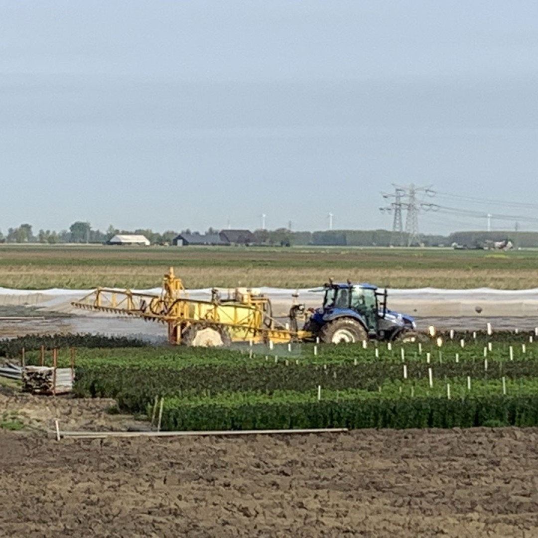 Water en gif dlvr.it/TClPh1