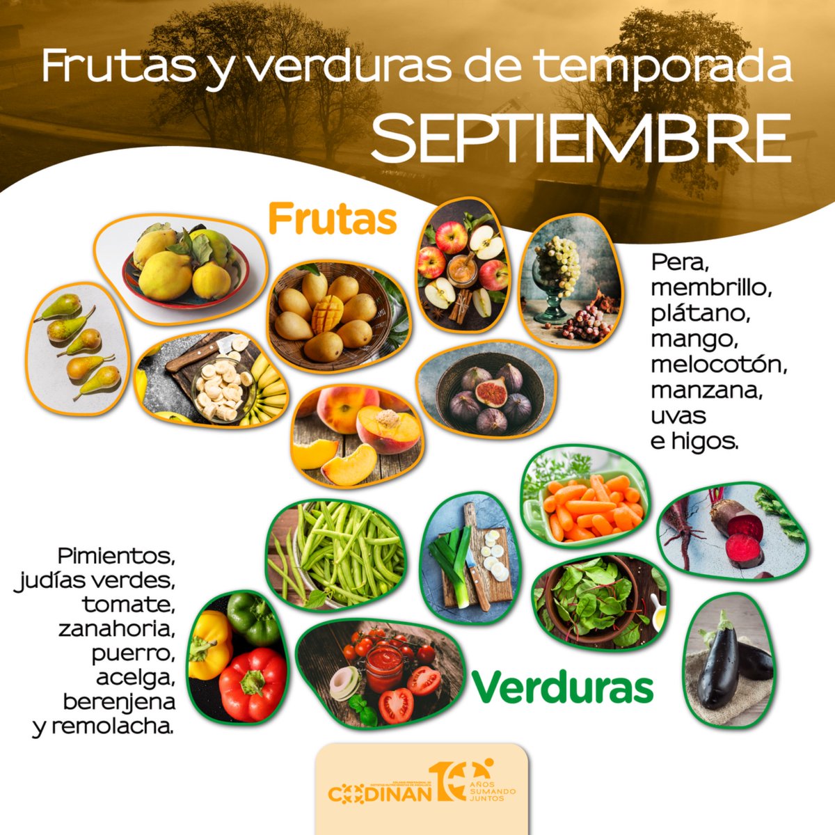 DN_Andalucia's tweet image. 🍇🍆 Se nos acaba el verano, pero todavía puedes seguir disfrutando de las #frutas y #verduras de temporada.   

Septiembre es época de uvas, higos, berenjenas o tomates, llenos de vitaminas y minerales e ideales para incluirlos en tu dieta.