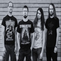 Apep - Sophomore Full Length Coming Out Soon dlvr.it/TClQd8