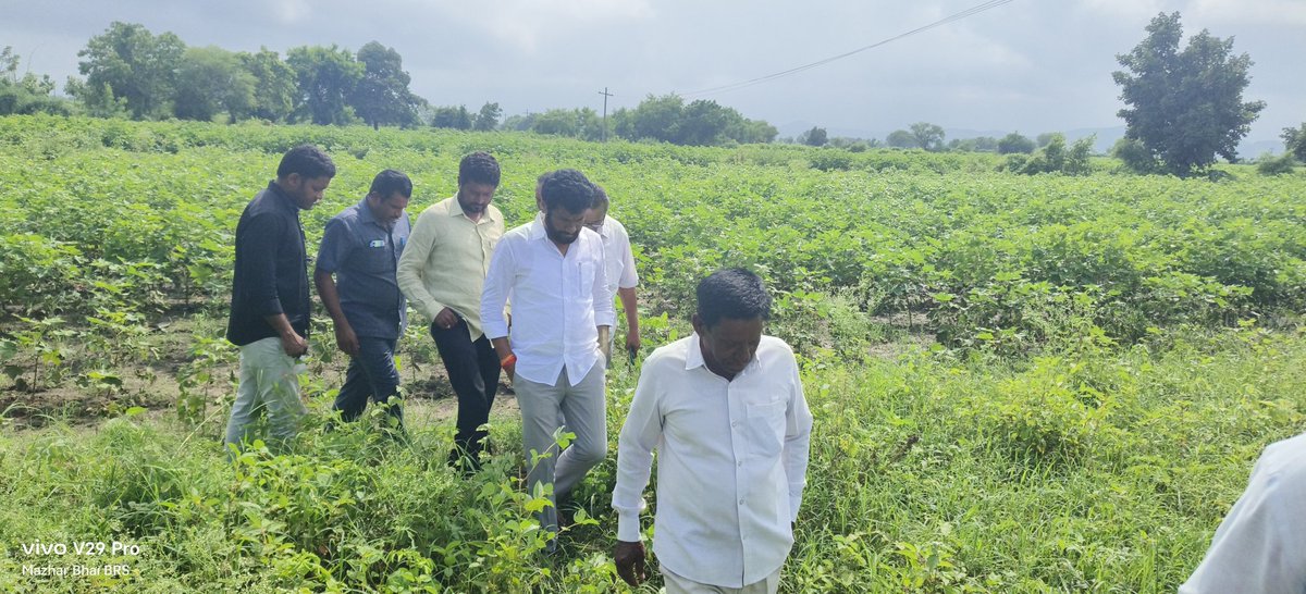 AnilJadhav_brs's tweet photo. తాంసి మండలంలోని కప్పర్ల మోడ్ వద్ద వరద నీటితో ధ్వంసమైన రోడ్డును మరియు పత్తి పంటను పరిశీలించి అధికారులకు పలు సూచనలు చేయడం జరిగింది.

@BRSparty @KTRBRS @BRSHarish https://t.co/zqX8QPhKBJ