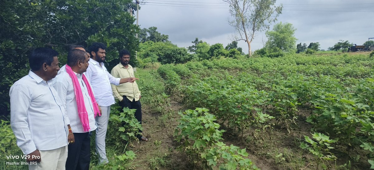 AnilJadhav_brs's tweet photo. తాంసి మండలంలోని కప్పర్ల మోడ్ వద్ద వరద నీటితో ధ్వంసమైన రోడ్డును మరియు పత్తి పంటను పరిశీలించి అధికారులకు పలు సూచనలు చేయడం జరిగింది.

@BRSparty @KTRBRS @BRSHarish https://t.co/zqX8QPhKBJ