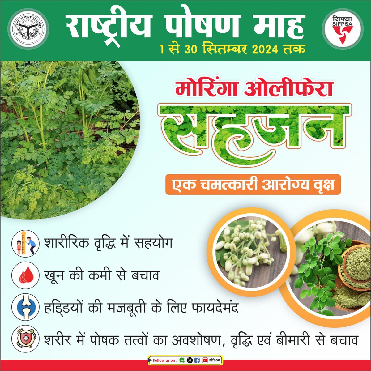 राष्ट्रीय पोषण माह 1 से 30 सिम्बर 2024 तक : मोरिंगा ओलीफेरा #सहजन एक चमत्कारी आरोग्य वृक्ष जो प्रदेश की जलवायु के एकदम अनुकूल है। इसकी पत्तियों में आयरन, मैग्नीशियम जैसे पोषक तत्व होते हैं, जो थकान से छुटकारा दिलाते हैं और शारीरिक वृद्धि में सहयोग, खून की कमी से बचाव, हड्डियों की