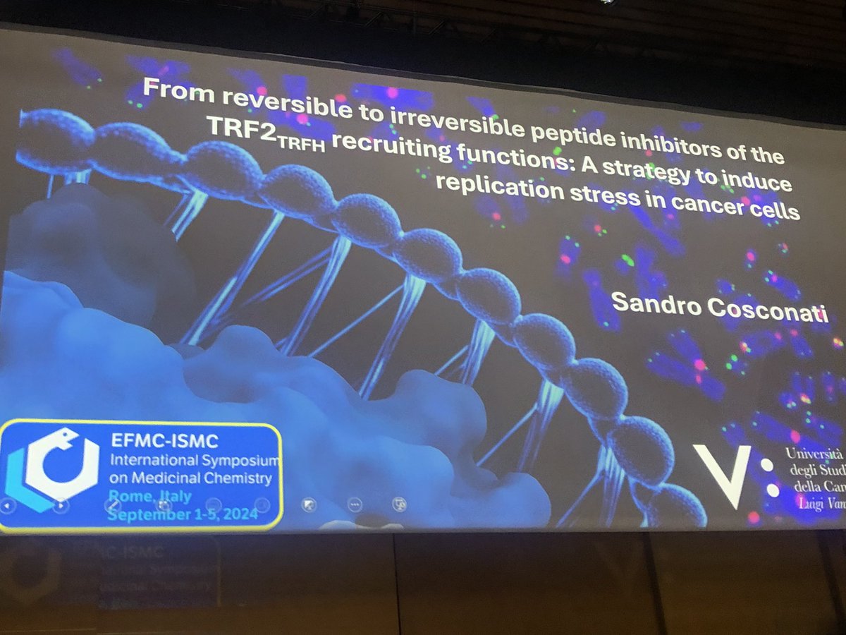 Next talk in the peptide session at #EFMCISMC24 is given by Sandro Cosconati (<a href="/scoscona/">Sandro Cosconati</a>), describing his strategy to induce replication stress in cancer cells, from reversible to irreversible peptide inhibitors of the TRF2TRFH recruiting functions.
<a href="/EuroMedChem/">EFMC</a> 
<a href="/DCFSCI/">DCF-SCI</a>