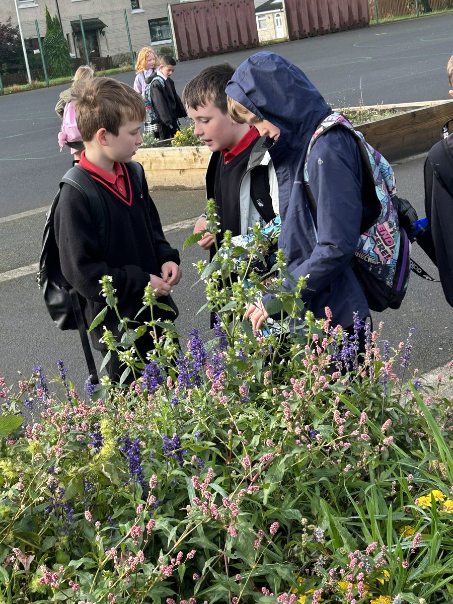 Lots of chat and curiosity around the planters this morning! Everyone is interested to see what happens to our plants as we move into Autumn and Winter 🍂 ❄️ <a href="/stbernadettesps/">St Bernadette's PS</a>
