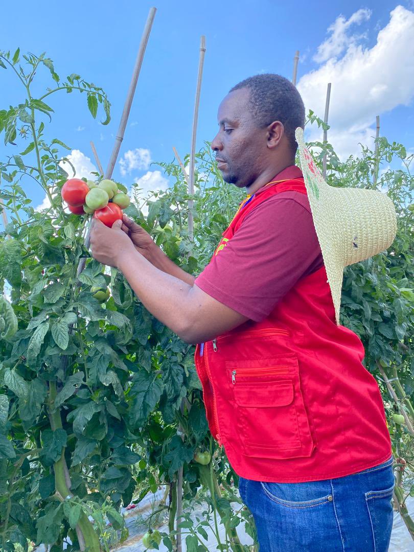 YEAN_Agro's tweet photo. Recently our Executive Secretary and Lead Agronomist completed a month-long training on Horticulture Farming especially Chili 🌶️ production in China. Gained skills will advance our operations and help in providing efficient services to horticulture farmers. https://t.co/0zsHg9aYZo
