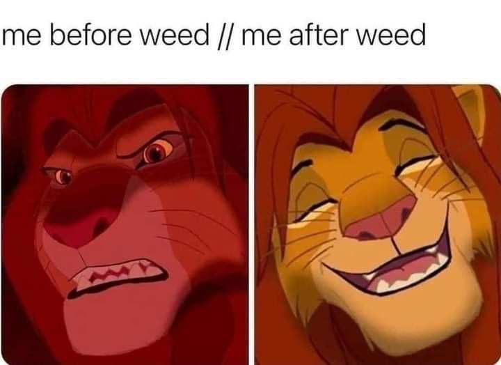 Stoner Barbie (@stonersvilla) on Twitter photo 