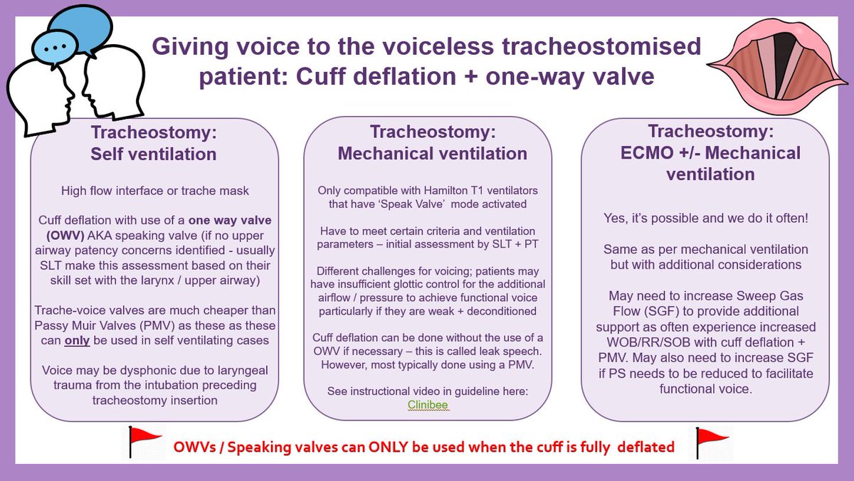 Laura Harbert (@lauraharbertslt) on Twitter photo Itβs #GivingVoice day as part of <a href="/GSTT_ICU/">Guy's & St Thomas' NHS Trust Critical Care</a> <a href="/ICUsteps/">ICUsteps</a> #ICURehabChampionships π Raising awareness of the different set ups we use with our MDT colleagues for our patients, to achieve voice as part of weaning from a tracheostomy π£οΈπ«π
 Itβs #GivingVoice day as part of <a href="/GSTT_ICU/">Guy's & St Thomas' NHS Trust Critical Care</a> <a href="/ICUsteps/">ICUsteps</a> #ICURehabChampionships π Raising awareness of the different set ups we use with our MDT colleagues for our patients, to achieve voice as part of weaning from a tracheostomy π£οΈπ«π