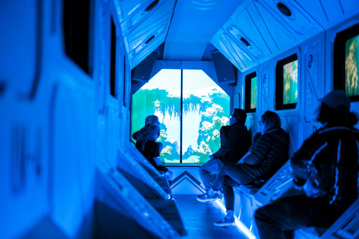 tinydragonproductions tweet media