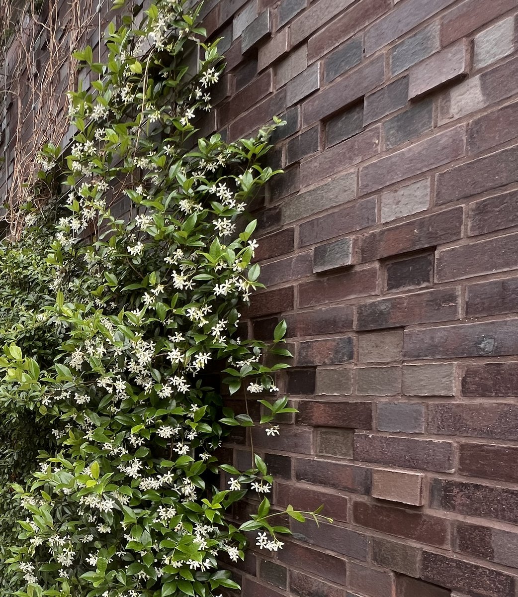 Hyland Edgar Driver tweet media