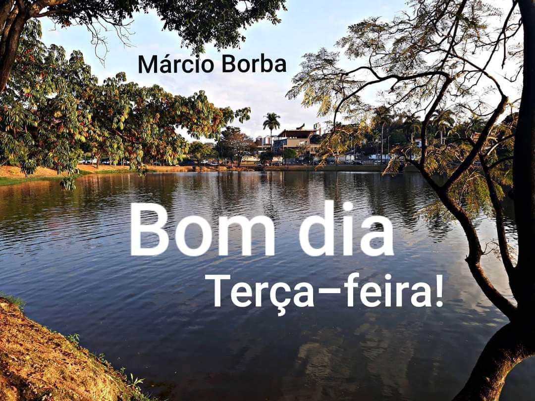 Márcio Borba (@marcioborba3) on Twitter photo 