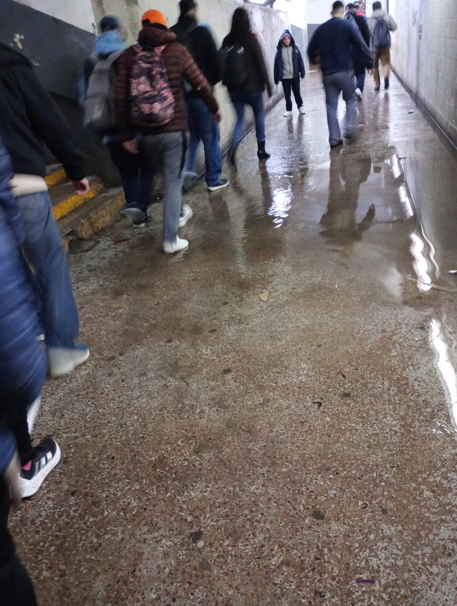 SebasDLanusOk tweet media