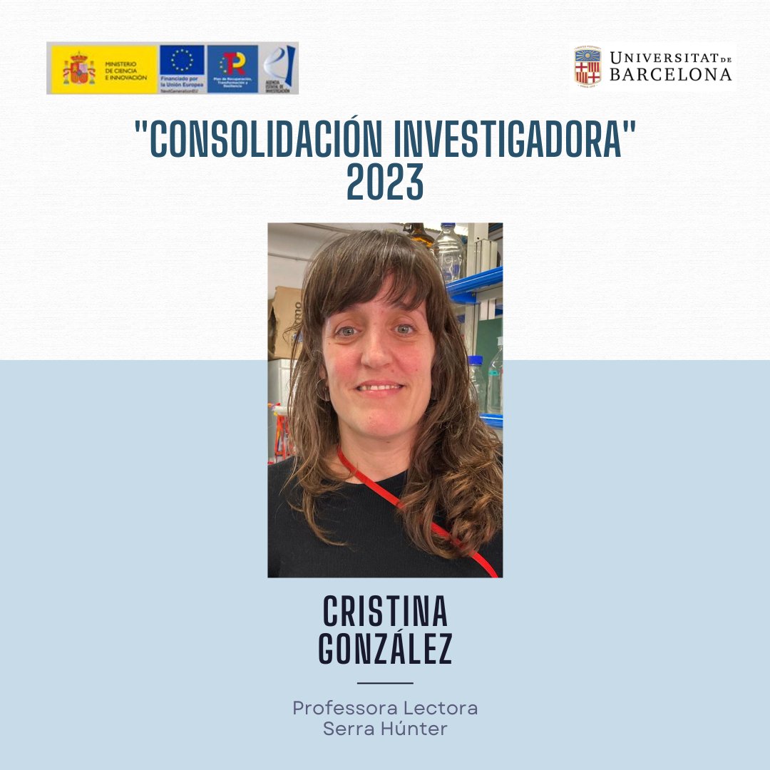 🥇Moltes felicitats a la investigadora Cristina González de <a href="/GeneticsUB/">GeneticsUB</a> <a href="/biologiaub/">Facultat de Biologia UB</a> que ha aconseguit l'ajuda "Consolidación Investigadora 2023", que implica un finançament pels seus projectes i una oportunitat d'estabilització professional en un termini de 2 anys.