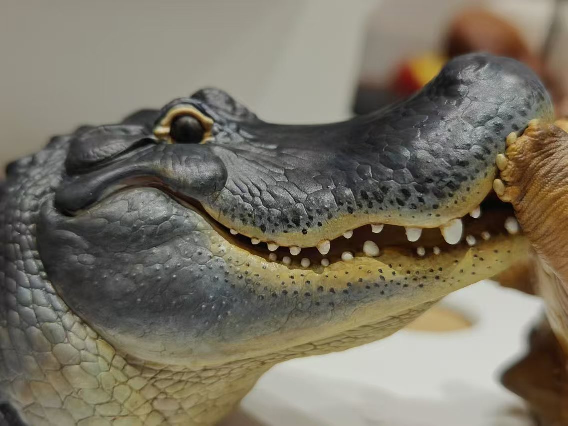 New design limited for Shanghai Wonder festival 2024