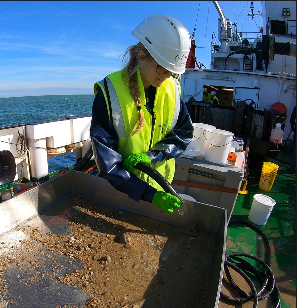 Door nieuwe DNA-technieken  te combineren met klassieke onderzoekanalyses, hebben overheden sneller en accurater info om te reageren op verstoring van cruciale ecosystemen op zee. 
🌊Meer weten? DNA-technieken bewijzen nut voor ecologische monitoring op zee - ILVO Vlaanderen