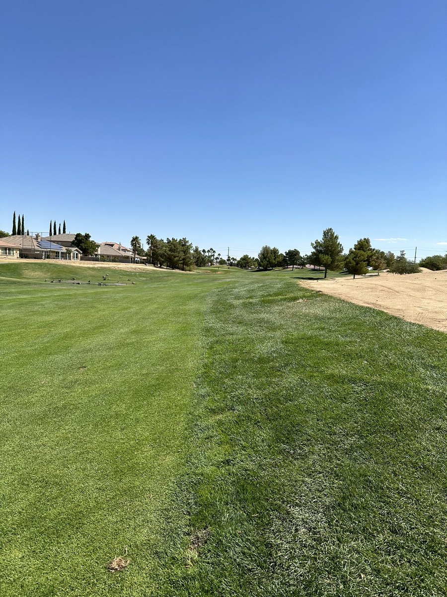 SlowTheGame's tweet image. Tough looks @arcisgolf when a 50 dollar public course in the desert blows away a private club run by you.