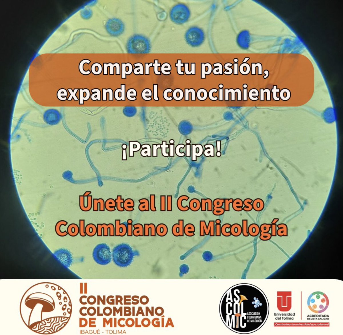 Inscríbete al #IICCM en la Universidad del Tolima  del 29 al 31  de octubre