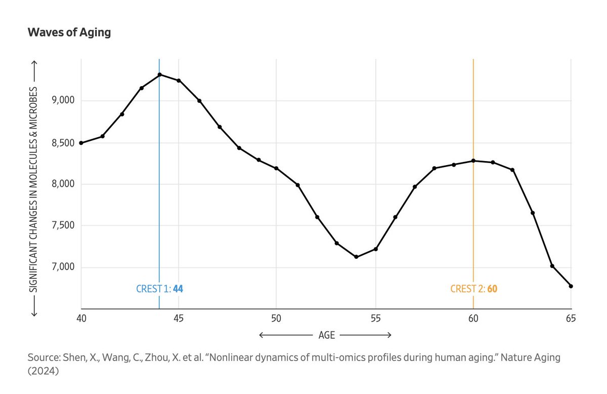 Turns out, aging doesn’t happen gradually over time.

New research suggests it comes in “waves,” with major changes hitting around ages 44 and 60.

These shifts mess with our metabolism, immune system, and more, leading to the common issues we associate with getting older.