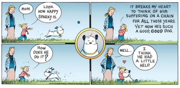 DogDazeUK's tweet image. ❤️🐕
#Mutts #PatrickMcDonnell