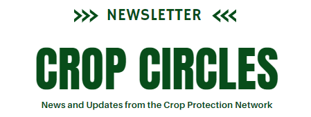 Crop Circles Newsletter: September 2024 - mailchi.mp/99afb5ea0801/c…