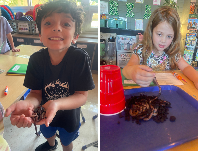 Nixa Public Schools tweet media