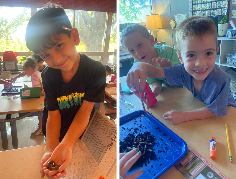 Nixa Public Schools tweet media